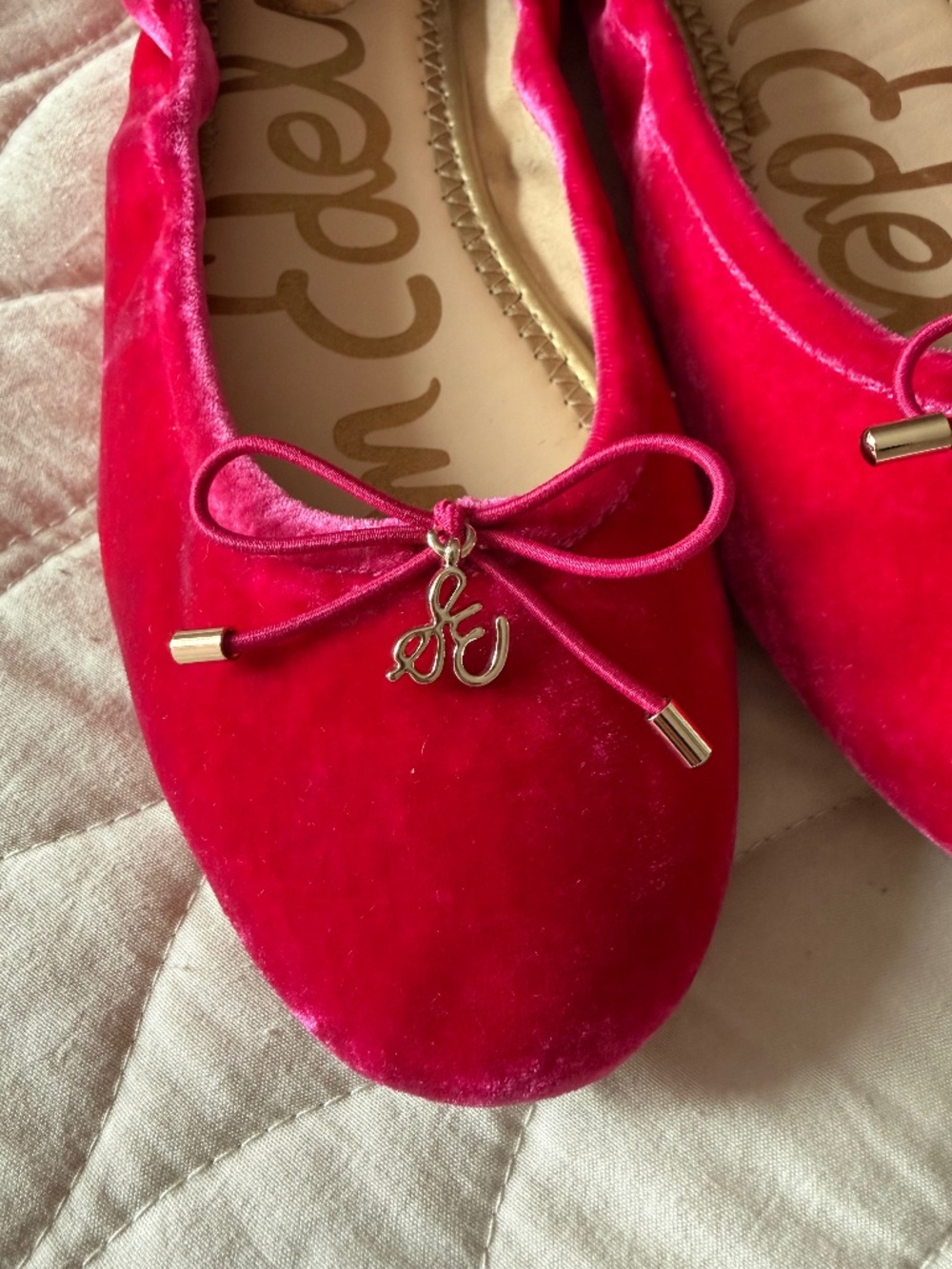 Sam Edelman Felicia Ballet Flat in Pink Topaz - Picture 5 of 5